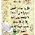 لا يوجد صوره