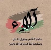 Alaa Morshedy Mohammed
