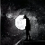 لا يوجد صوره