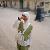 لا يوجد صوره