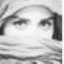 بيبو النصر