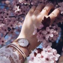 Nour Ahmed