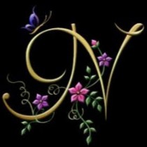 nour mansour