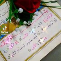 Amany Abdallh Nany