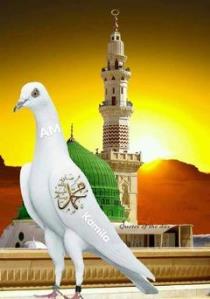 نبيله محمد