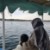 لا يوجد صوره