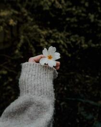 Esraa Hussien