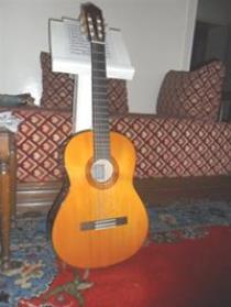 Mohamed Manouni