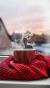 لا يوجد صوره