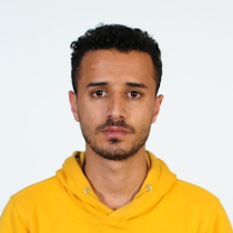 محمد الكامل