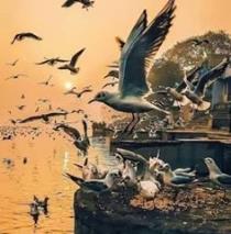 Samar Alsayed Hossen