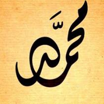 محمد الطائي