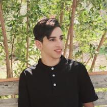 karar