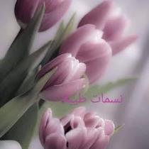 نسمات طيبة