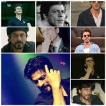 Shah Rukh Bitanim