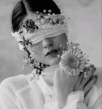 Alaa Saed