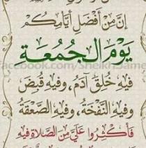 Mahmoud Zayed