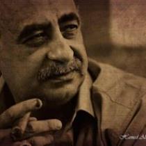 وجيه هادي