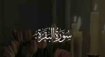 لولي احمد