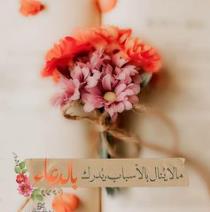 Hiba Abed Almalik