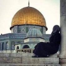 Nora Salah