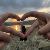 لا يوجد صوره
