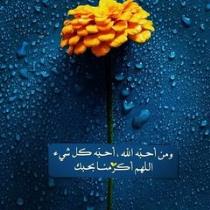 Mervt Mohamed