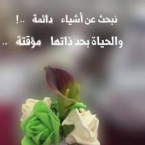 Shams