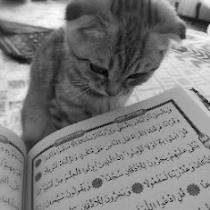 شهرزاد عبدالله