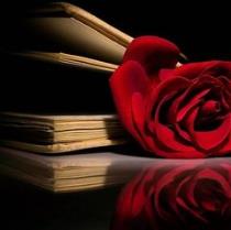 Noor Safi