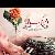 لا يوجد صوره