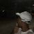 لا يوجد صوره