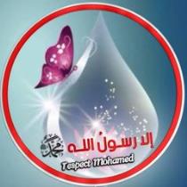 نور الحياه
