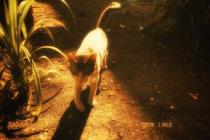 تَسنِيم🌊🧝🏻‍♀️