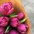Nour Alhouda