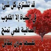 عبدالله ابو سعد الدين