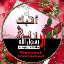 Heba Elgabry