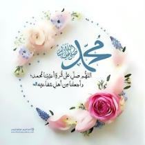 Kareem Yasser