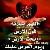 لا يوجد صوره