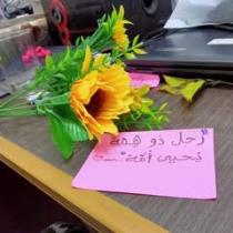 آلاء عبدالرؤوف