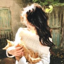 Farah Thabet