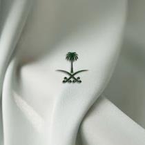 صالحه الفضيلي