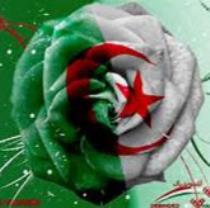 dahmane farid