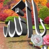 لا يوجد صوره