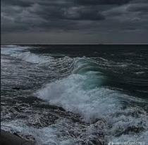 عاصم هشام العامري