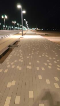 حسن الحارثي