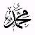 لا يوجد صوره