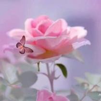 Eman Mohammed