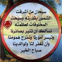 Ahmed Hassni