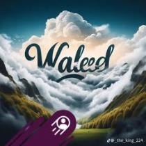 MrWaleed Shawky